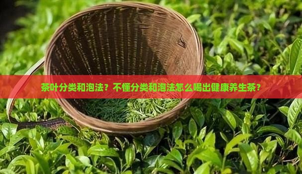 茶叶分类和泡法