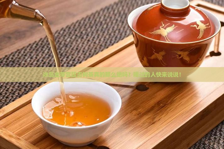 冰岛金芽宫廷古树茶怎么样