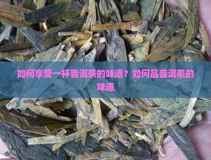 如何享受一杯普洱茶的味道