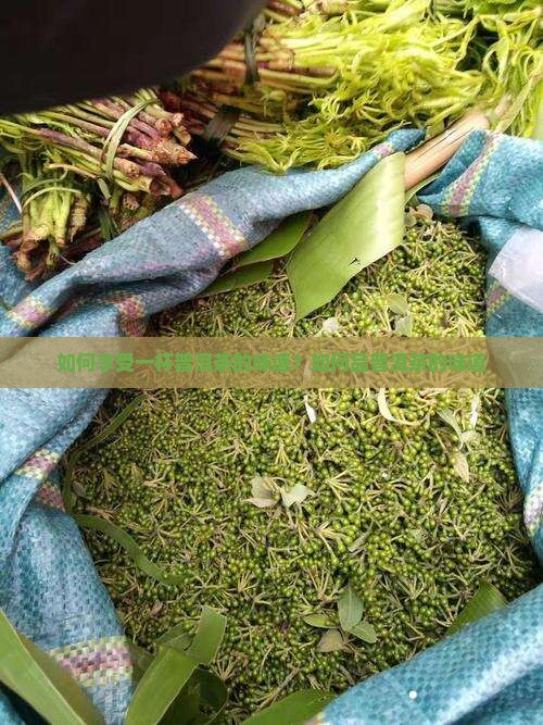 如何享受一杯普洱茶的味道
