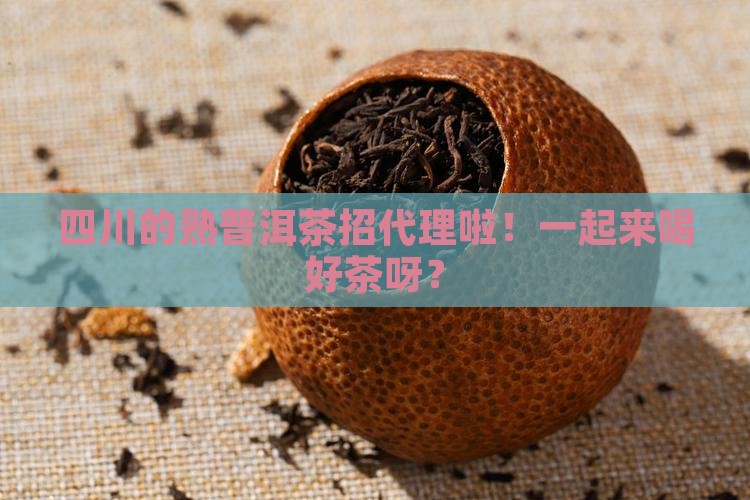 四川熟普洱茶代理招商