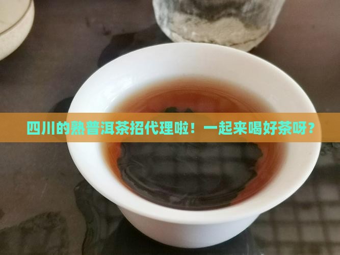 四川熟普洱茶代理招商