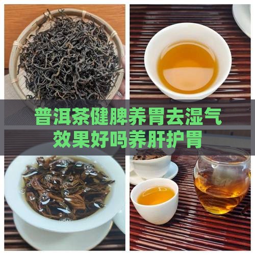 普洱茶健脾养胃