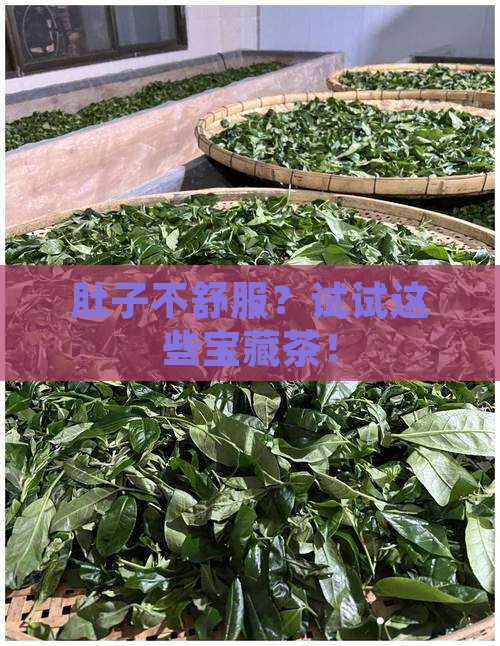 肠胃不好喝点什么茶
