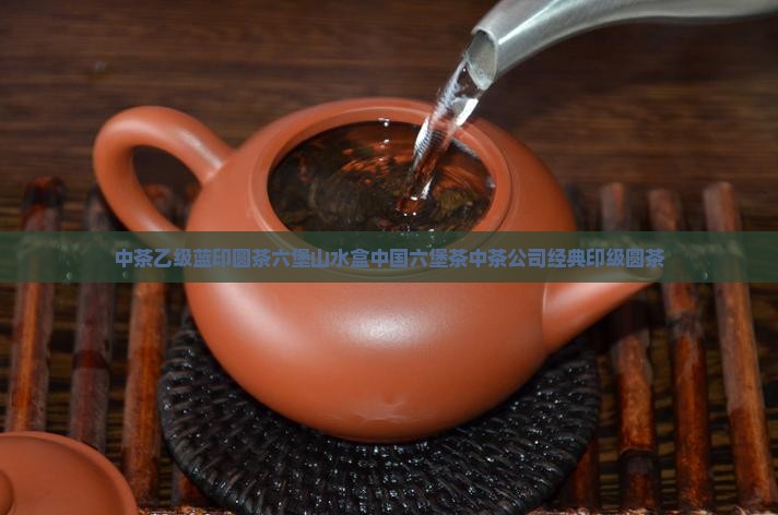 中茶乙级蓝印圆茶中茶六堡山水盒