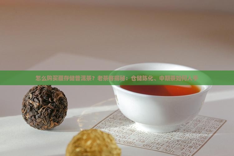 怎么购买藏存储普洱茶
