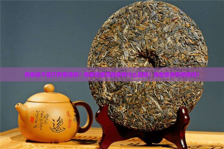 熟茶是不是只有普洱茶