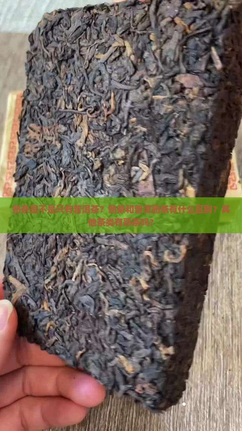 熟茶是不是只有普洱茶