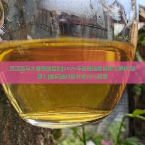 普洱茶与大麦茶的区别