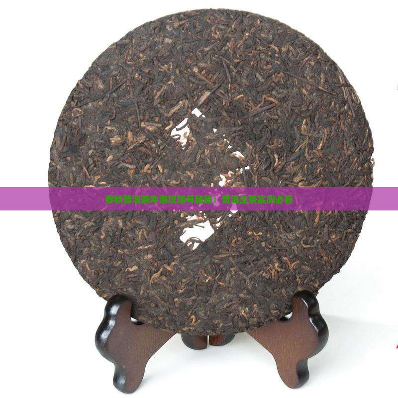 醉春秋普洱茶冲泡 醉春秋普洱茶冲泡
