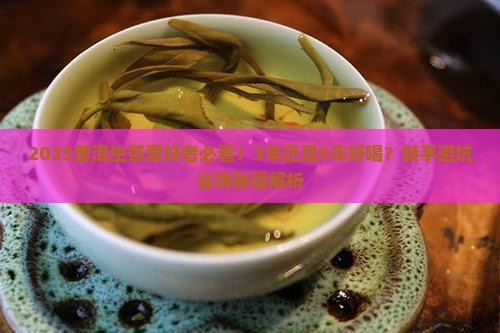 普洱生茶放多久好喝