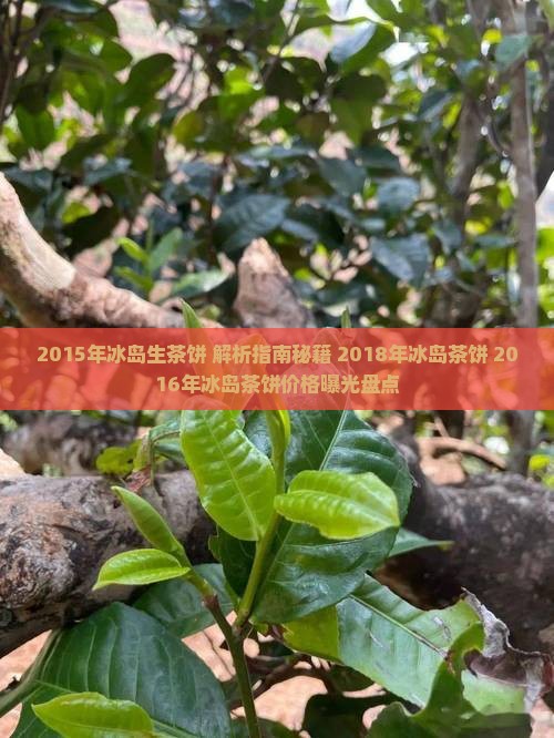 2015年冰岛生茶饼