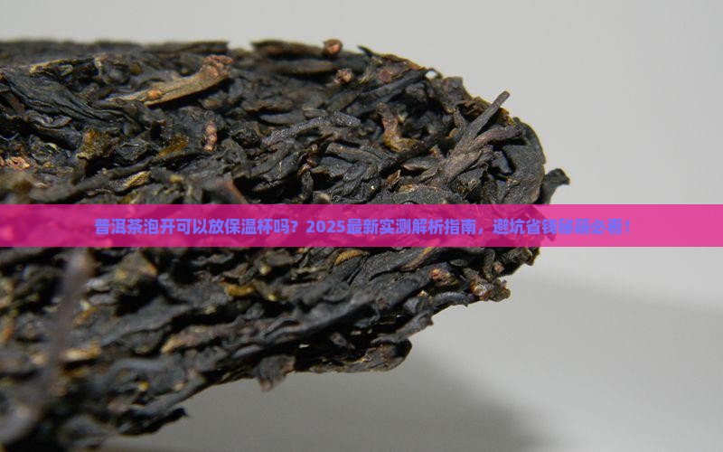 普洱茶泡开可以发保温杯吗
