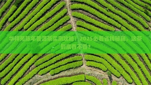 华祥苑陈年普洱茶