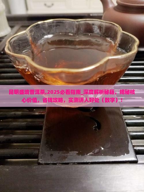 昆明盛境普洱茶