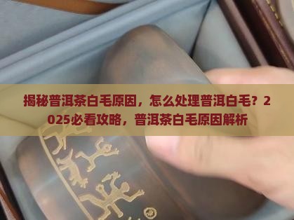 普洱茶有白毛是什么原因