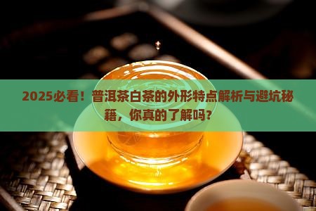 普洱茶白茶的外形特点介绍