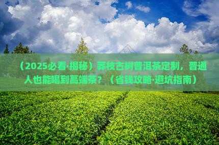 莽枝古树易武普洱茶定制