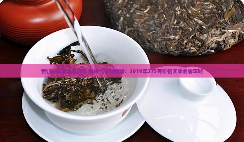昔归小树普洱茶价格