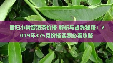 昔归小树普洱茶价格