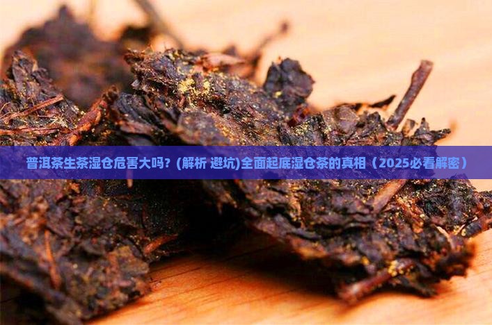 普洱茶生茶湿仓的危害