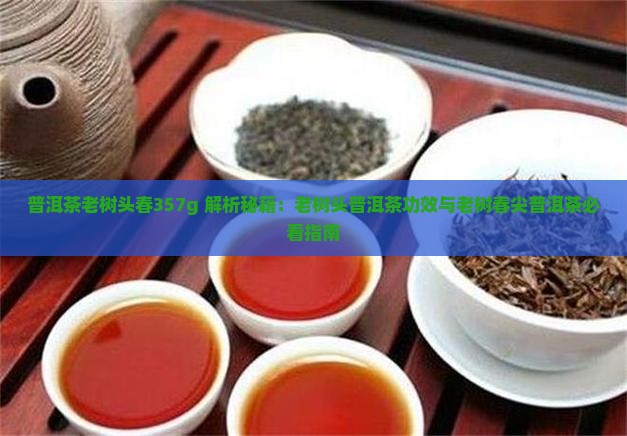 普洱茶老树头春357g