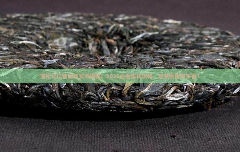 油松记忆普洱茶