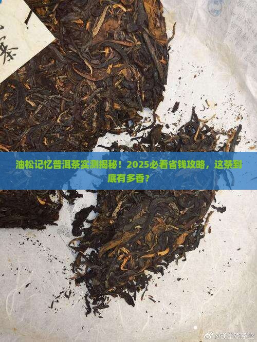油松记忆普洱茶