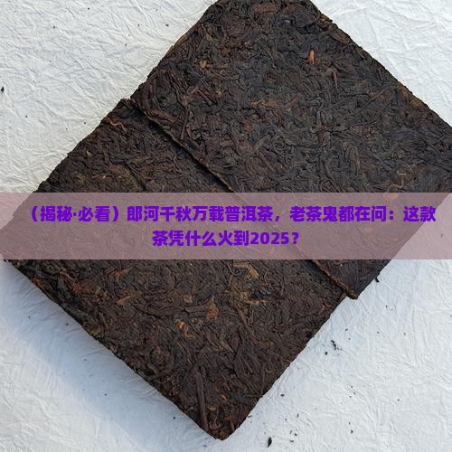 郎河千秋万载普洱茶