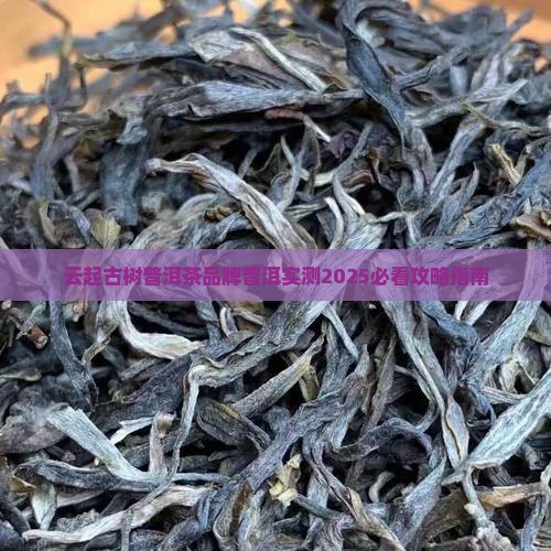 听山云起古树普洱茶
