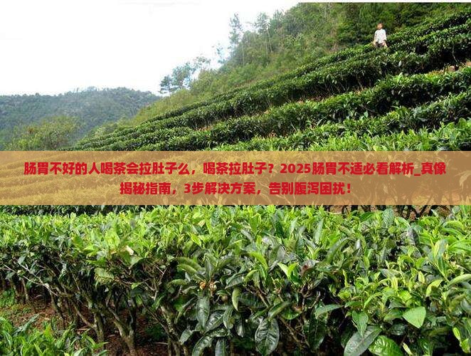 肠胃不好的人喝茶会拉肚子么