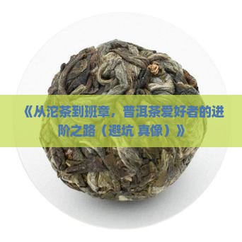 从沱茶到班章喝普洱茶