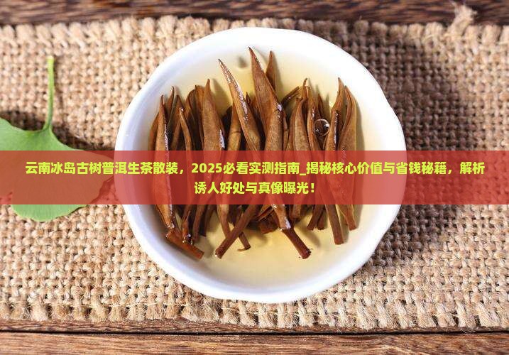 云南冰岛古树普洱生茶散装