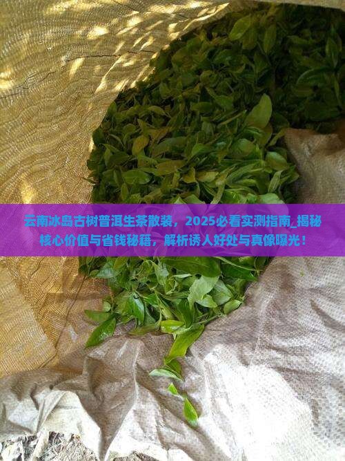 云南冰岛古树普洱生茶散装