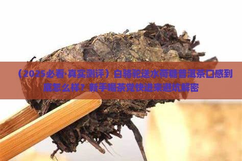 白骆驼送水荷糖普洱茶口感特点
