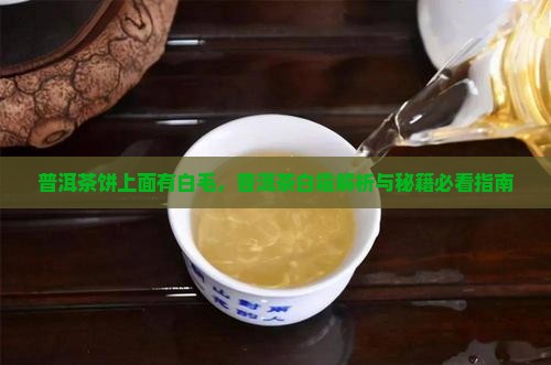 普洱茶饼上面有白毛
