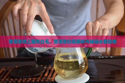 普洱茶饼上面有白毛