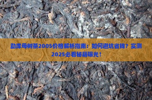 勐库母树茶2005价格