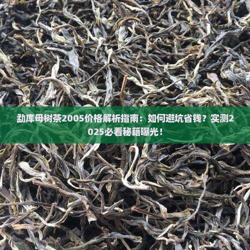 勐库母树茶2005价格