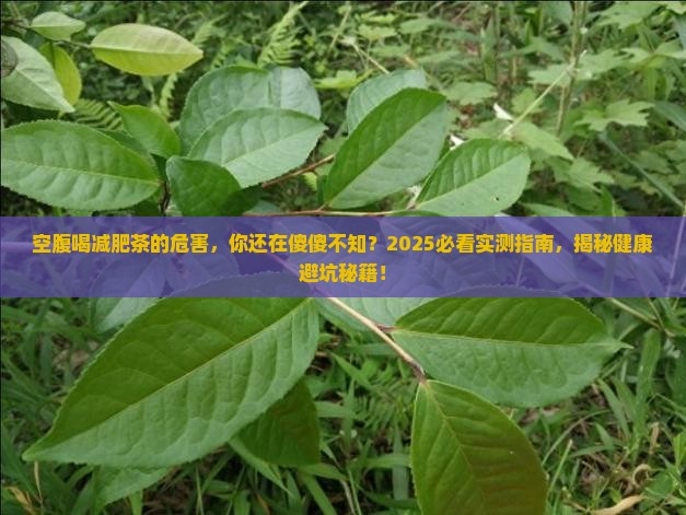 空腹喝减肥茶的危害