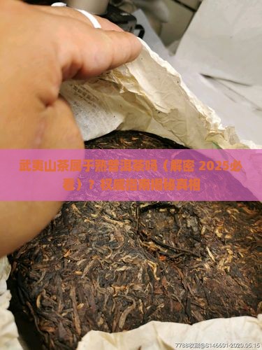 武夷山茶属于熟普洱茶吗