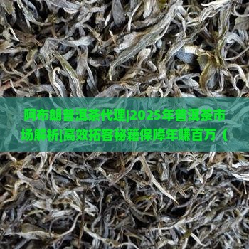 阿布朗普洱茶代理