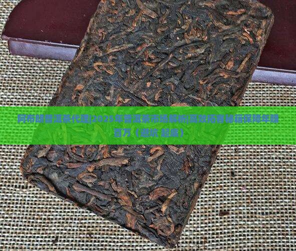 阿布朗普洱茶代理
