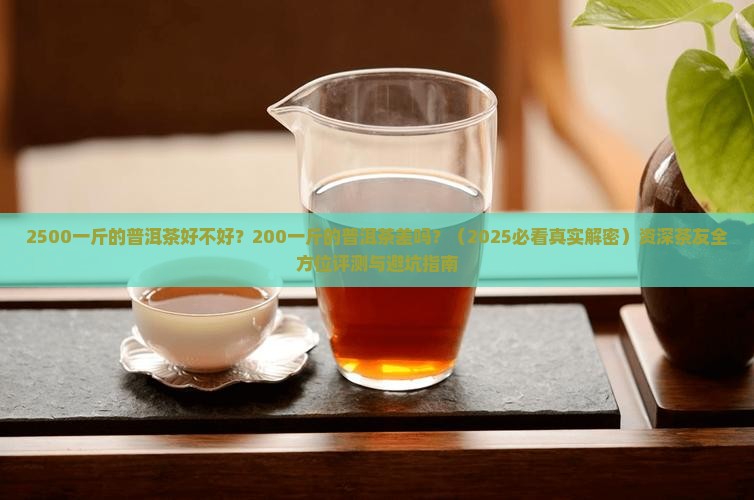 2500一斤的普洱茶好不好