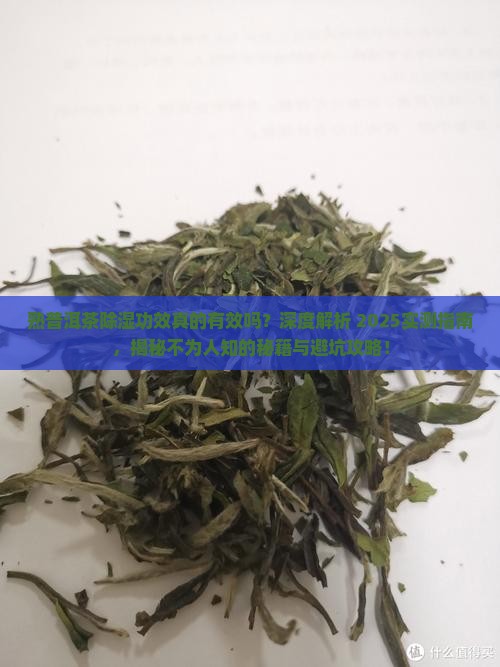 熟普洱茶有除湿功效吗