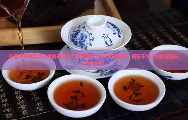 熟普洱茶有除湿功效吗