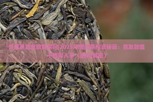 普洱茶首发款能买吗