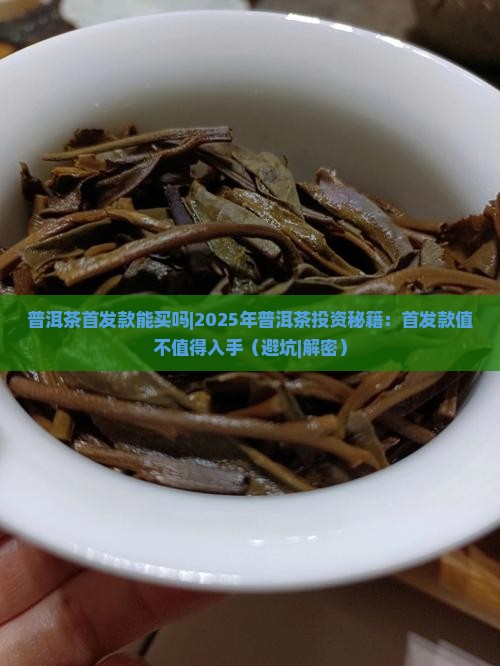 普洱茶首发款能买吗