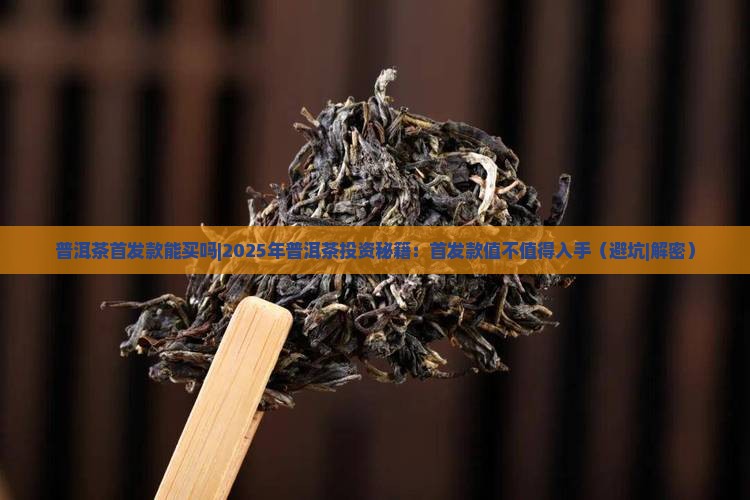 普洱茶首发款能买吗
