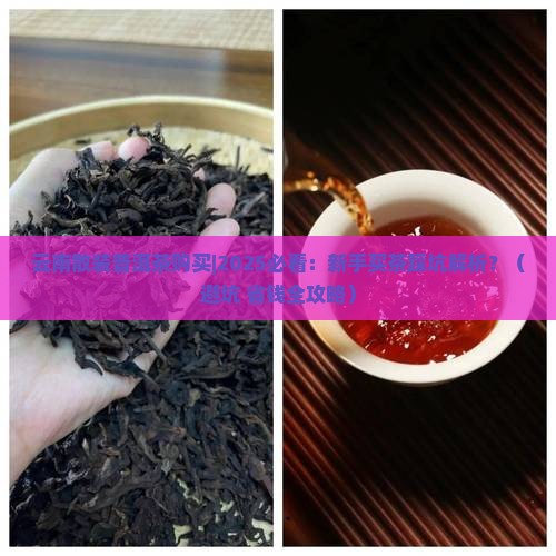 云南散装普洱茶购买